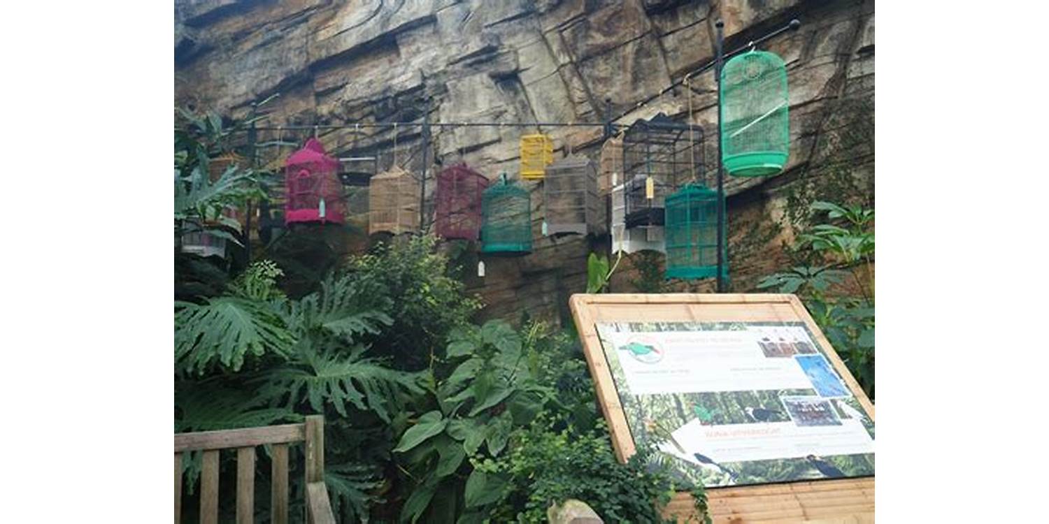 Konservasi dan Pendidikan di Kebun Binatang Bandung